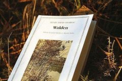 读《瓦尔登湖》有感-读后感