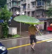 新买的雨伞，今天拿出来试试-搞笑图片