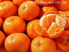 橘子500字作文-作文大全