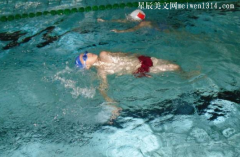 第一次游泳300字作文_小学二年级作文-作文大全