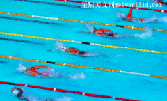 游泳比赛-四年级作文