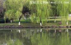游瓜渚湖公园-二年级作文