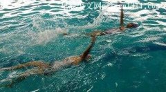 有趣的一次游泳团队比赛-六年级作文