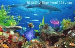 游上海海昌海洋公园650字作文-四年级作文