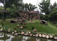 上海野生动物园一日游-二年级作文