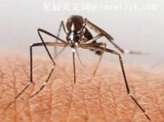 蚊子的寿命是多长，为什么蚊子总是灭不完-常识大全