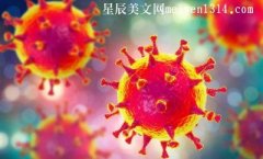新型冠状病毒疫情