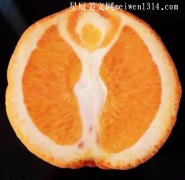 单身久了，看橘子都不一样了-搞笑图片