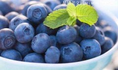 蓝莓一天吃多少为宜？蓝莓的功效与作用有哪些？-常识大全