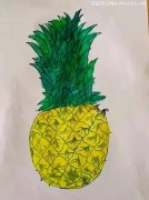 绘画《菠萝》-教育