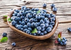 蓝莓的十大功效与作用，有条件的话，真的可以多吃一点-常识大全